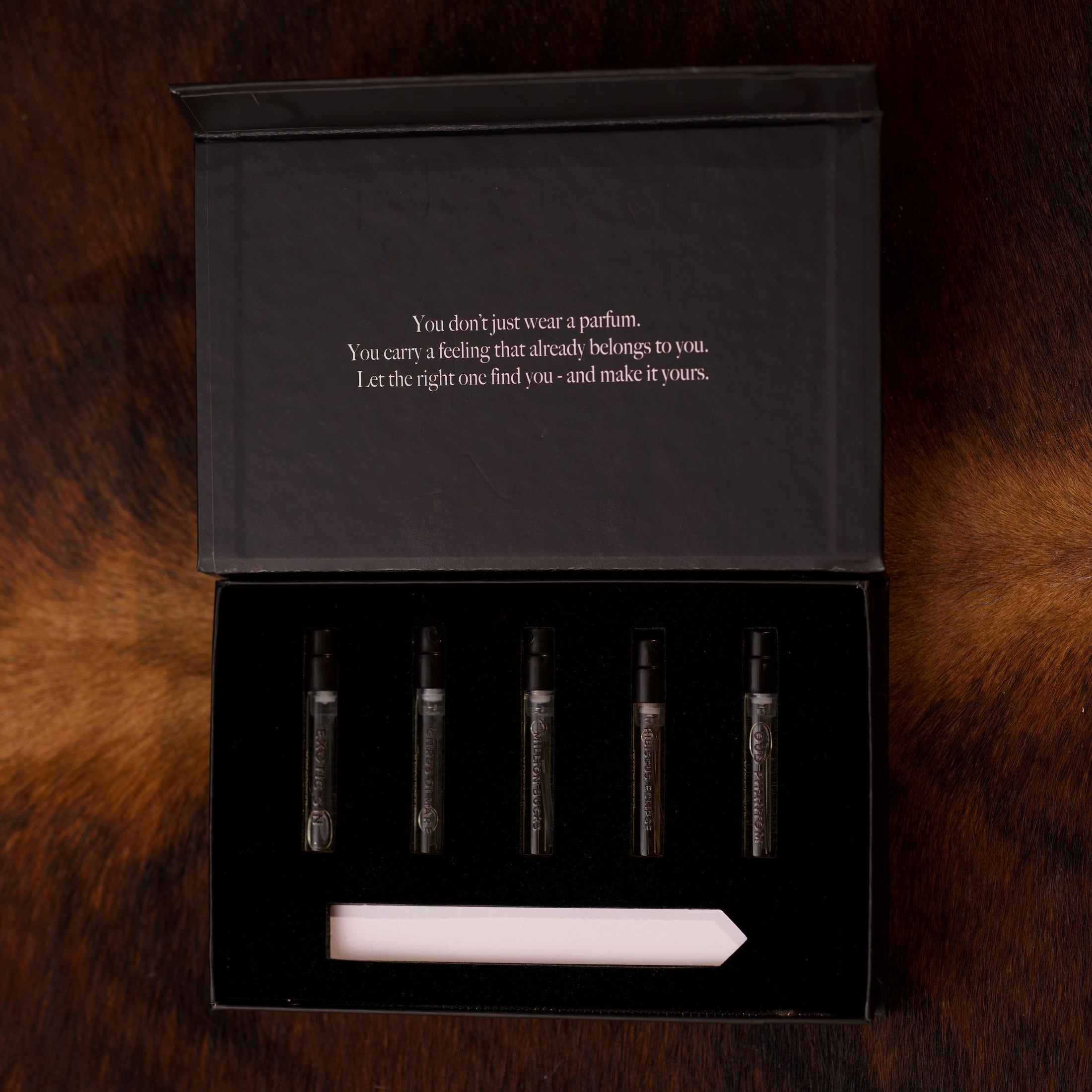 Discovery Box Bestseller