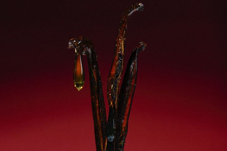 Each composition is crafted with attention to detail.